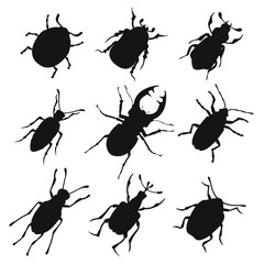 Colorful insects vector biology collection