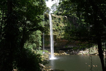 El verde de la naturaleza decora la cascada Misol-Ha.
