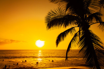 Fototapeta na wymiar Tropical island sunset with silhouette of palm trees, hot summer day vacation background, golden sky with sun setting over horizon