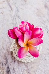 Romantic vintage  love background decorated with lovely flower plumeria in corsage style arrangement with mood of romantic and valentine