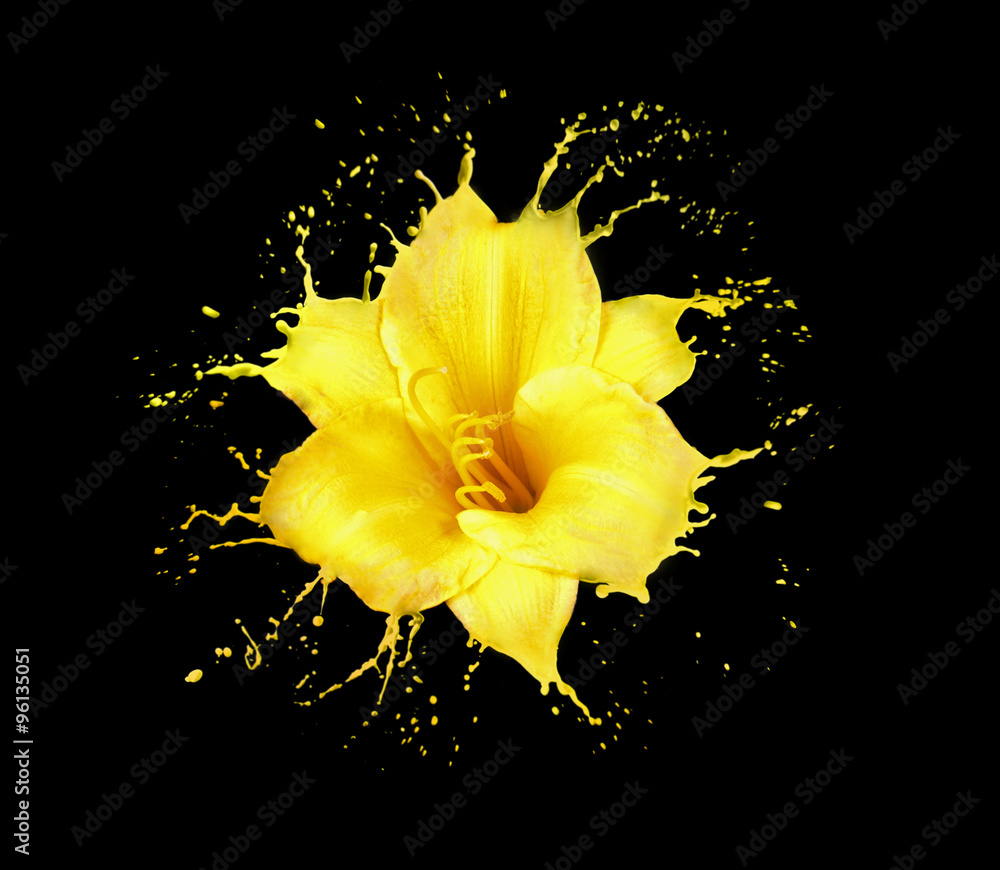 Wall mural yellow flower splashes