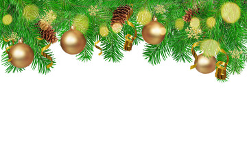 Fir branches in white background.