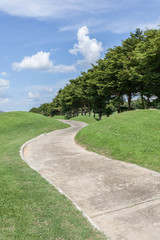 The curved pathway green golf course and beautiful nature scene.