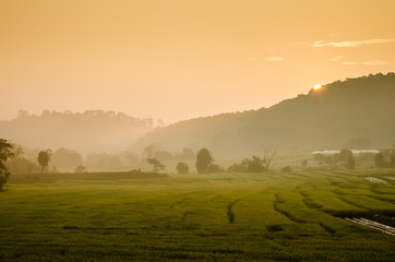 Sunrise at terraced rice field , Mae Kalng Luang , Chiang Mai ,