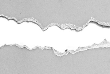 Ripped paper, space for copy on white
