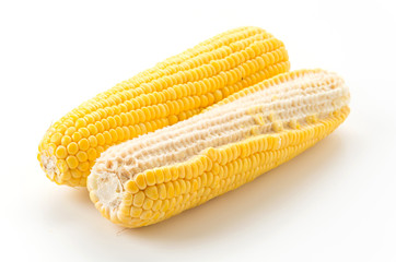 fresh corn