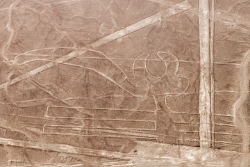 Aerial view of geoglyphs near Nazca - famous Nazca Lines, Peru. Parrot figure is present.