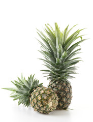 Fototapeta premium fresh pineapple