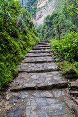 Jungle trail leading to Catarata de Gocta, one of the highest waterfalls in the world, northern Peru.