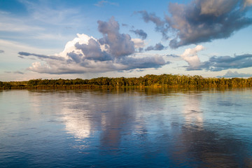 Jungle along river Napo, Peru