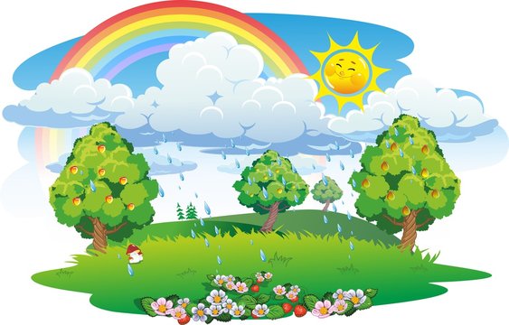 Orchard. Fruit garden. Summer landscape with rainbow.
