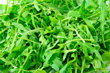 Arugula on Dark Woody Background