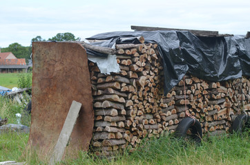 Pile of fire wood in a meadow