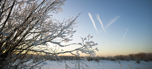 Traces of planes on the winter sky.