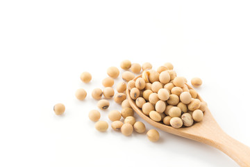 soy beans
