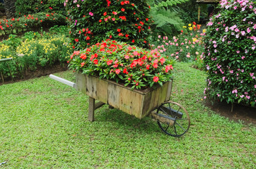 Fototapeta na wymiar Idyllic flower garden with old wooden cart. flower cart.