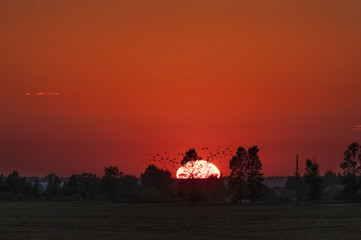 Догорающий август
