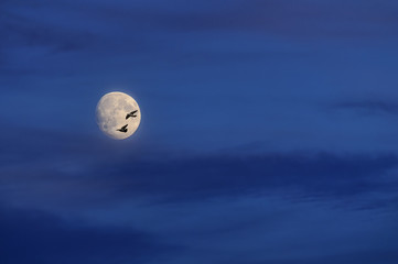 Два одиночества