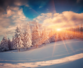 Colorful winter sunrise in the mountains.