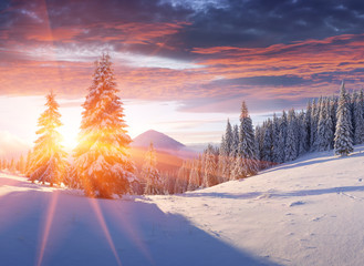 Winter morning in the mountains