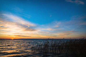 Obraz premium Lake sunset over calm water with reeds, featuring vibrant blue sky, orange horizon light, and gentle ripples, ideal for nature travel background, eco banners, and serene landscape design