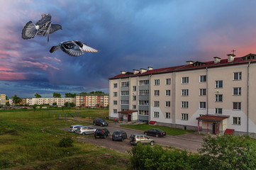 Вечер перед грозой