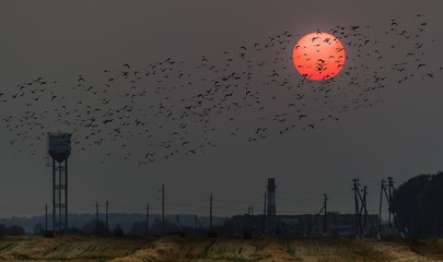 Кровавое солнце