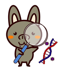 研究する動物シリーズ