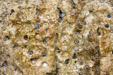 A fragment of Maiden tears waterfall with coins.