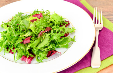Salad Mix Batavian, Frise, Radicchio, Chicory and Dietary Mel.