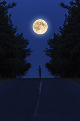 Одиночество под луной