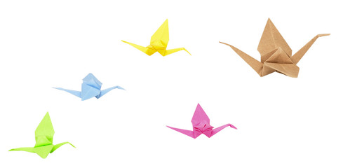 flock of birds