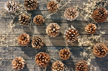 pine cone, Christmas, pinecone, xmas
