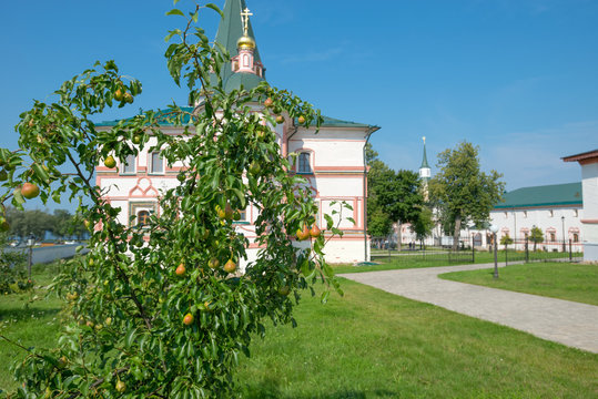 Pears in the garden The Valdai Iver Svyatoozersky Virgin Monaste