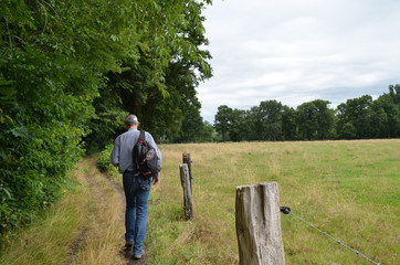 Man walking on trail next to meadow in Flanders fields