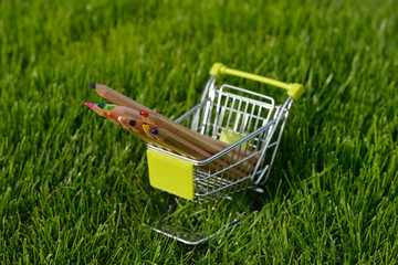 mini shopping cart with pencils outdoor