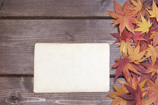 Blank vintage pohoto autumn concept