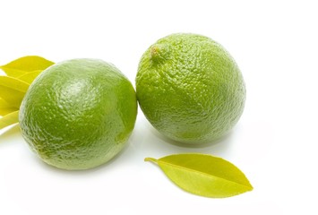 Fresh ripe lime isolated on white background