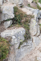 large stones lying on the ground