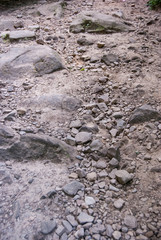 soil with stones