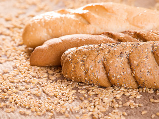 Wheat and Bread