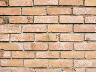 Background of old vintage brick wall