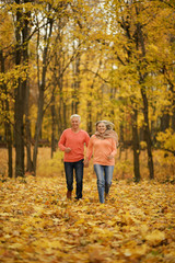Mature couple in the autumn forest