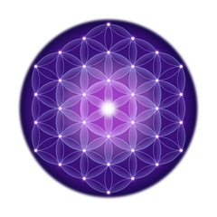 Golden cosmic Flower of Life with stars on black background, a spiritual symbol and Sacred Geometry since ancient times.