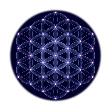 Golden cosmic Flower of Life with stars on black background, a spiritual symbol and Sacred Geometry since ancient times.