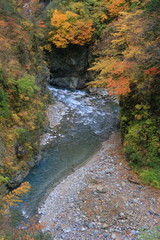 黒部峡谷の紅葉