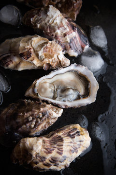 Oysters on black background