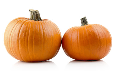 Closeup shot of pumpkins isolated on white