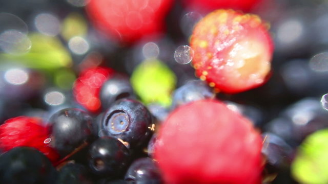 Fresh Blueberries macro