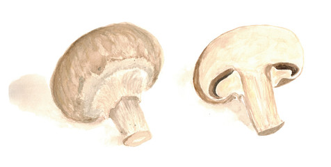 watercolor champignons sliced with shadow art